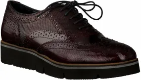 Damen-Schnürschuhe aus Leder 101293638407 (Rotbraun)