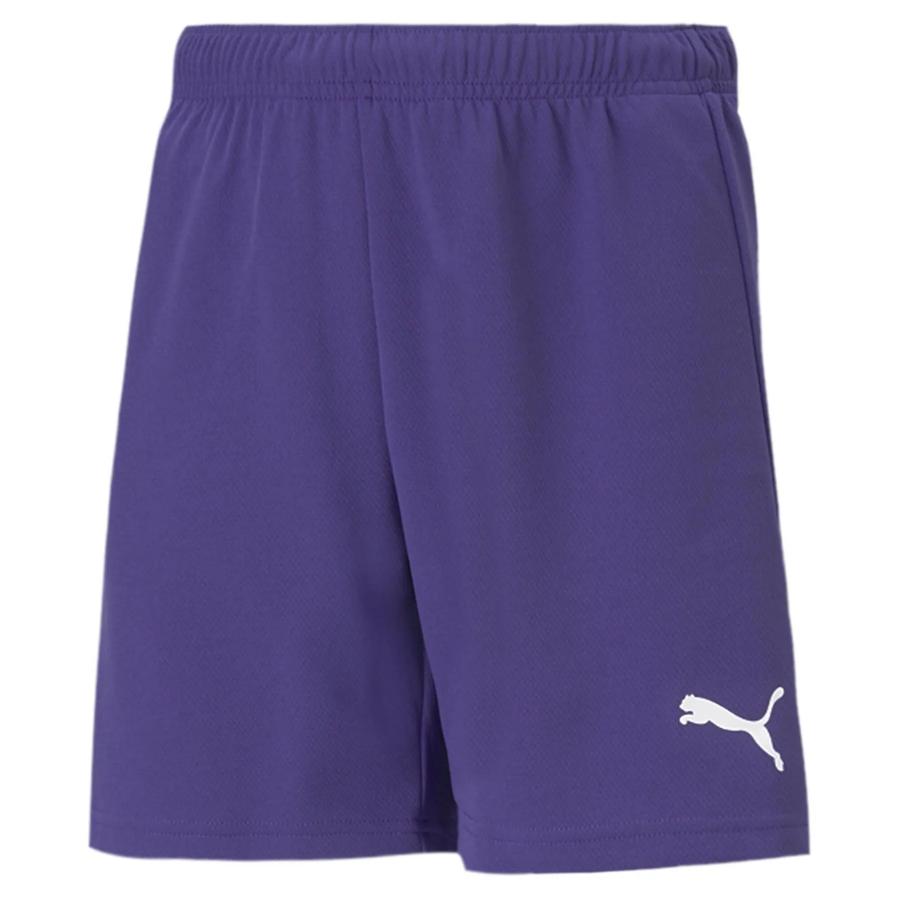 Kindershorts Puma Team Rise